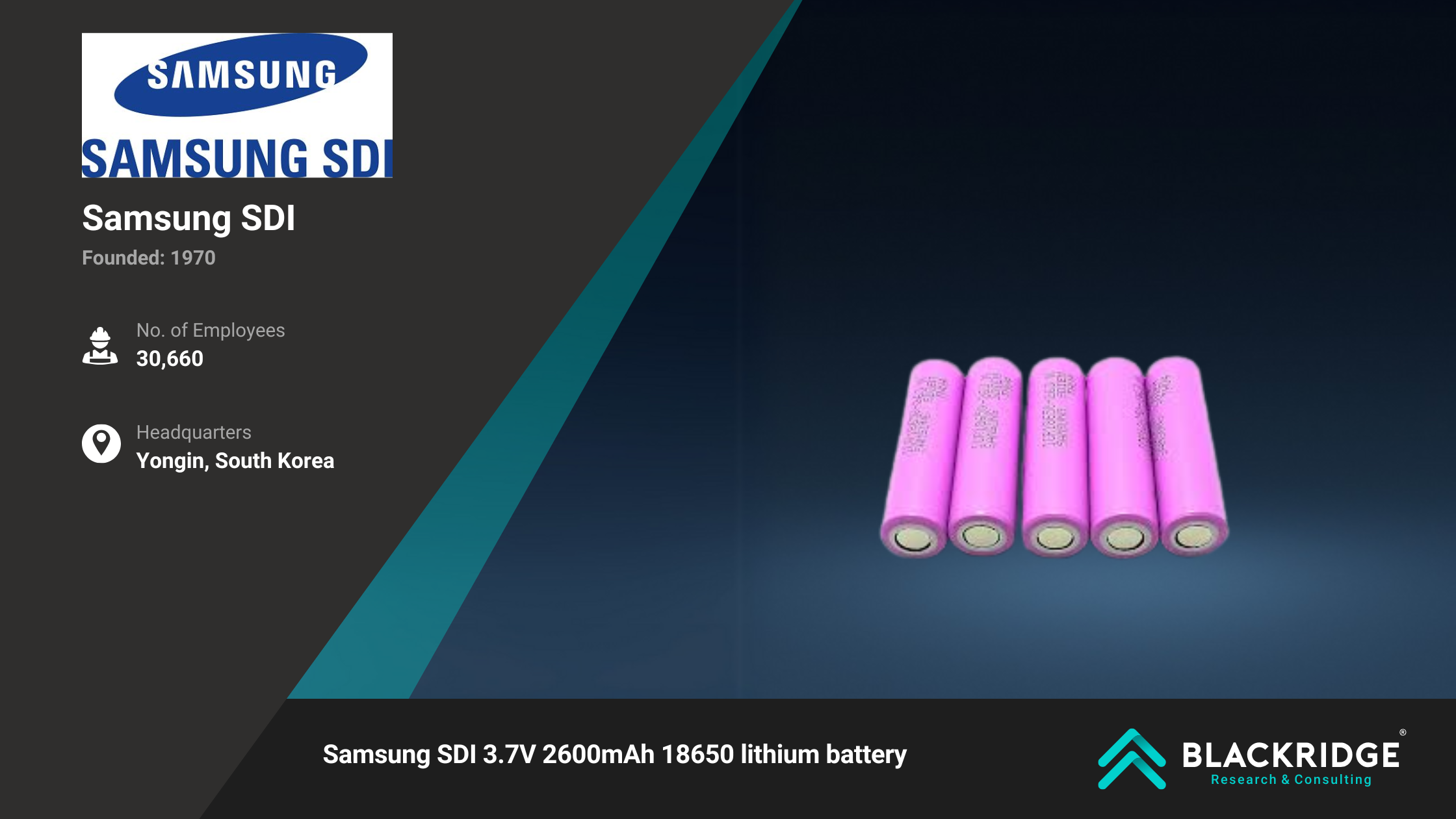 lithium-ion battery manufacturers